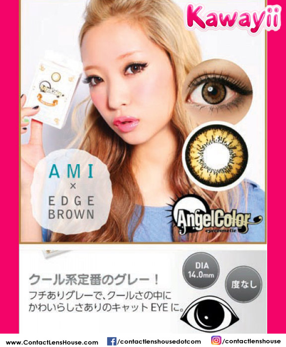 Angel Color Edge Brown circle lenses