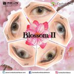 Blincon Blossom II Brown