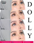 Dolly+ Grey