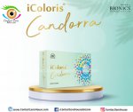 Candorra Shiny Brown