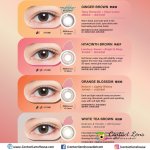 Kaori Clove Grey