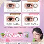 HiBRO Kagoshima Brown